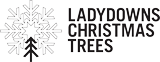 good-christmas-trees-penzance.png