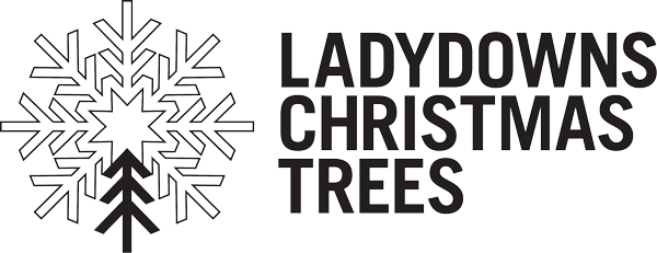 ladydowns-christmas-trees-1.png