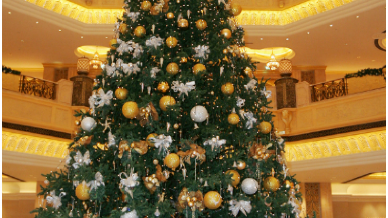 A few interesting Christmas tree facts…