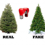 real penzance christmas trees
