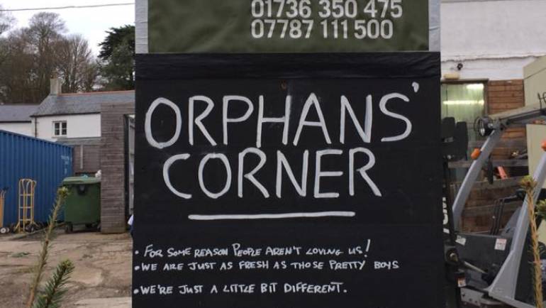 Cornwall Christmas trees orphans