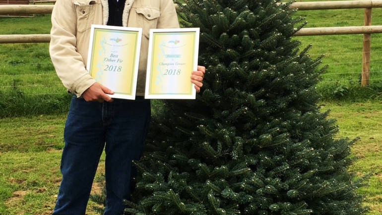 A winning tree