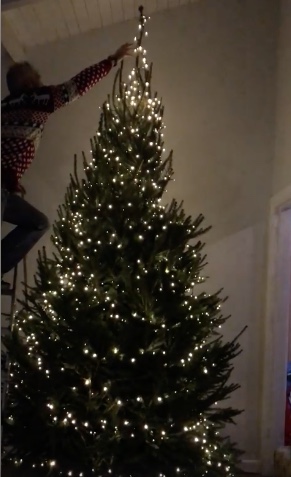 buy-Christmas-trees-cornwall.jpeg