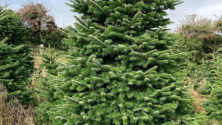 It’s almost that time of year again